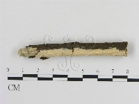登錄號:F0010413藏品圖，第3張