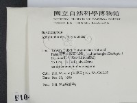 登錄號:F0010414藏品圖，第2張