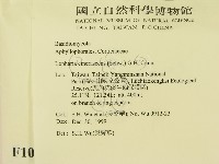 登錄號:F0010415藏品圖，第2張