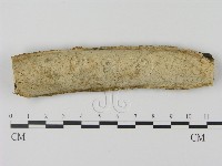 登錄號:F0010415藏品圖，第1張