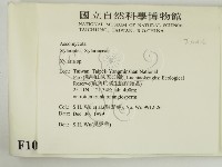 炭角菌屬藏品圖，第2張