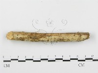 登錄號:F0010417藏品圖，第3張