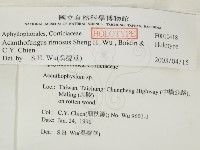 登錄號:F0010418藏品圖，第2張