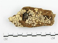 登錄號:F0010418藏品圖，第1張