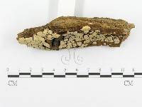 登錄號:F0010418藏品圖，第4張