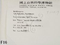 登錄號:F0010419藏品圖，第2張