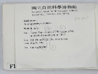 絲齒菌屬藏品圖，第2張