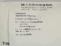 登錄號:F0010422藏品圖，第2張