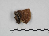 登錄號:F0010422藏品圖，第1張