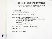 登錄號:F0010425藏品圖，第2張