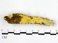 登錄號:F0010425藏品圖，第1張