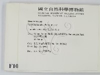 雲芝藏品圖，第2張