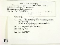 登錄號:F0010428藏品圖，第2張