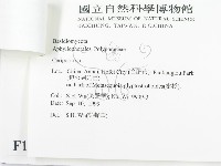 登錄號:F0010428藏品圖，第3張