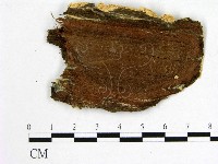 登錄號:F0010428藏品圖，第4張