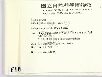 毛木耳藏品圖，第2張