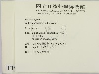 登錄號:F0010431藏品圖，第2張
