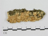 登錄號:F0010431藏品圖，第1張