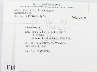登錄號:F0010432藏品圖，第2張