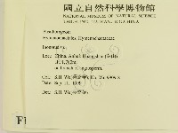 纖孔菌屬藏品圖，第2張