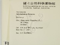 韌革菌屬藏品圖，第2張