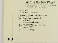 登錄號:F0010435藏品圖，第2張