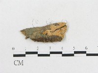 登錄號:F0010436藏品圖，第1張