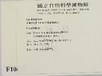 銳孔菌屬藏品圖，第2張