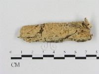 登錄號:F0010438藏品圖，第1張