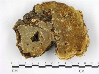 登錄號:F0010440藏品圖，第1張