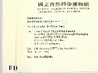 毛木耳藏品圖，第2張