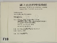 附毛菌屬藏品圖，第2張