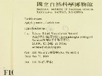 登錄號:F0010444藏品圖，第2張