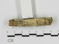 登錄號:F0010444藏品圖，第1張