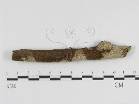 登錄號:F0010447藏品圖，第1張