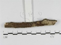 登錄號:F0010447藏品圖，第5張
