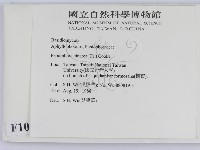 登錄號:F0010448藏品圖，第2張