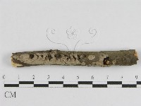 登錄號:F0010448藏品圖，第1張