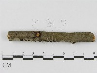 登錄號:F0010448藏品圖，第3張