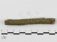 登錄號:F0010448藏品圖，第4張