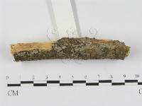 登錄號:F0010449藏品圖，第3張