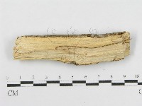 登錄號:F0010449藏品圖，第4張