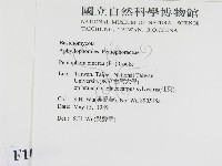 登錄號:F0010450藏品圖，第2張