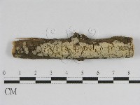 登錄號:F0010450藏品圖，第1張