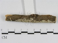登錄號:F0010450藏品圖，第3張