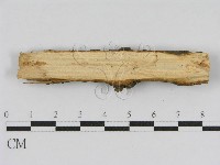 登錄號:F0010450藏品圖，第4張