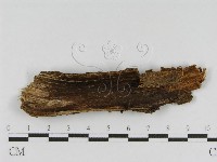 登錄號:F0010451藏品圖，第3張