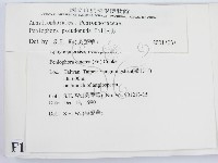 登錄號:F0010452藏品圖，第2張