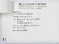 登錄號:F0010452藏品圖，第3張