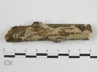 登錄號:F0010452藏品圖，第1張